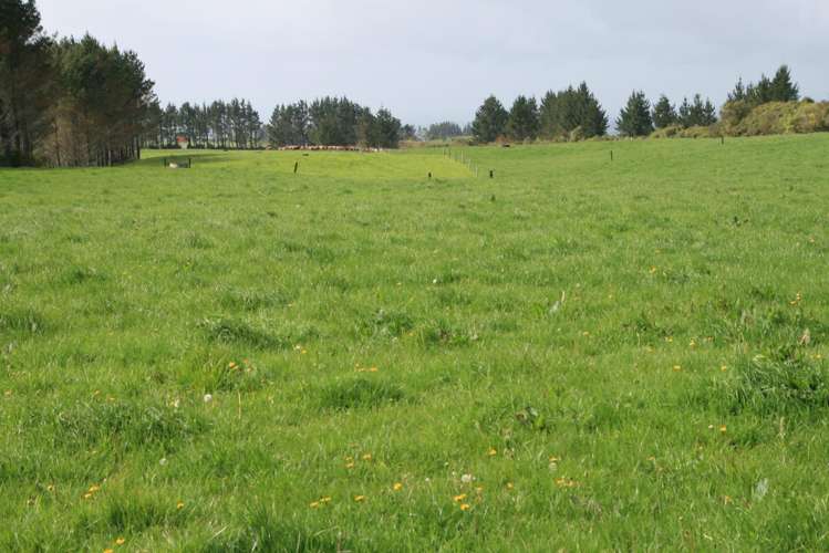 2105 Hastings Road Mahoe_5