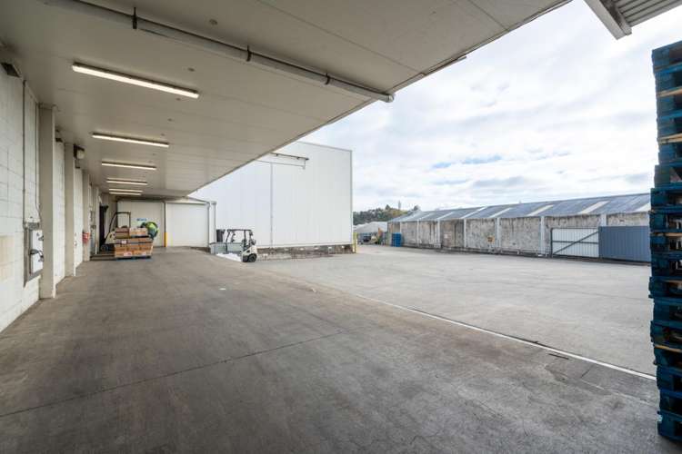 10b Maleme Street Greerton_2