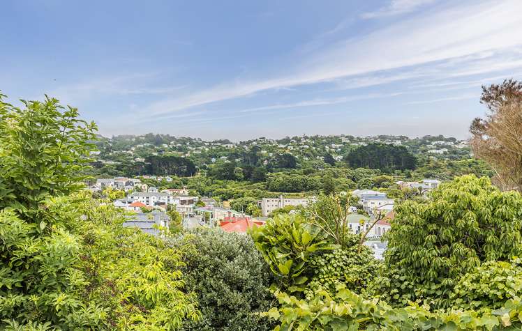 13 Herald Terrace Berhampore_11