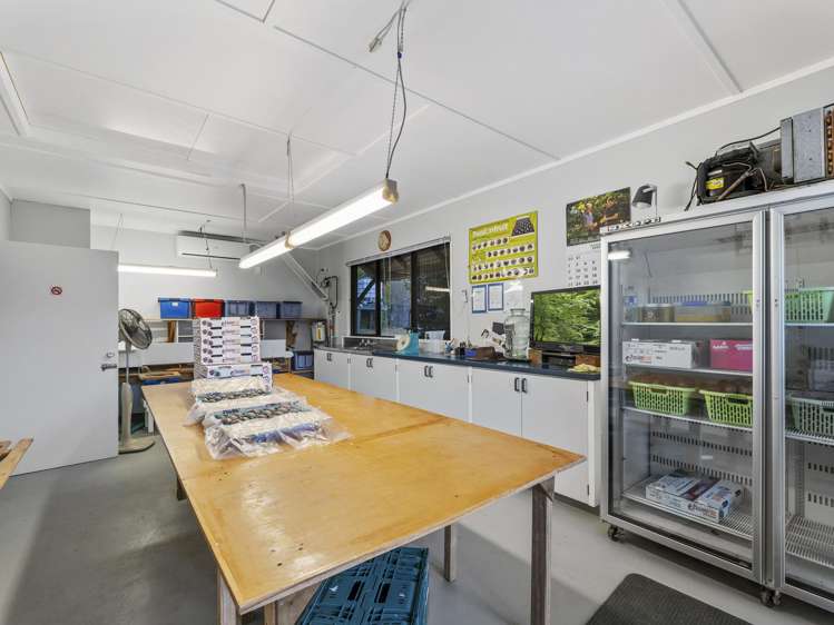 241 Rea Road Katikati_23