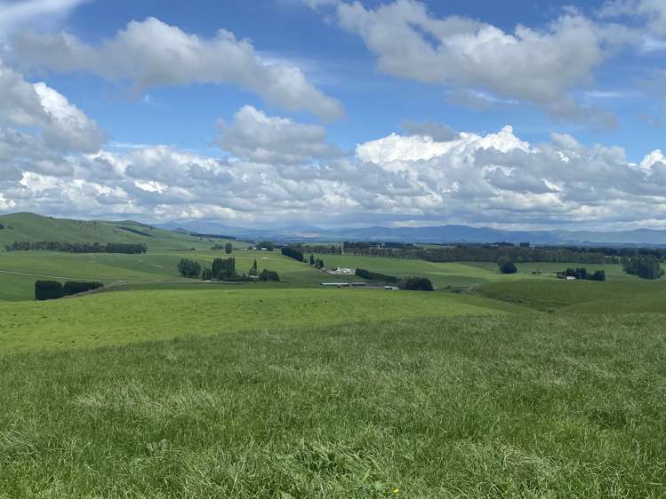 322 Wendon Creek Road Gore Surrounds_2