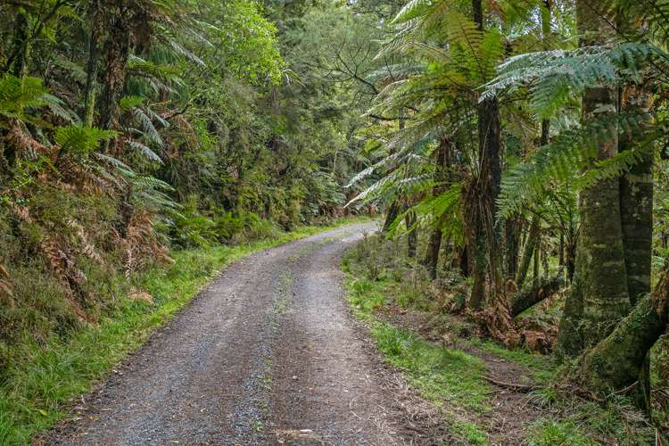 1420 State Highway 5 Tapapa_15