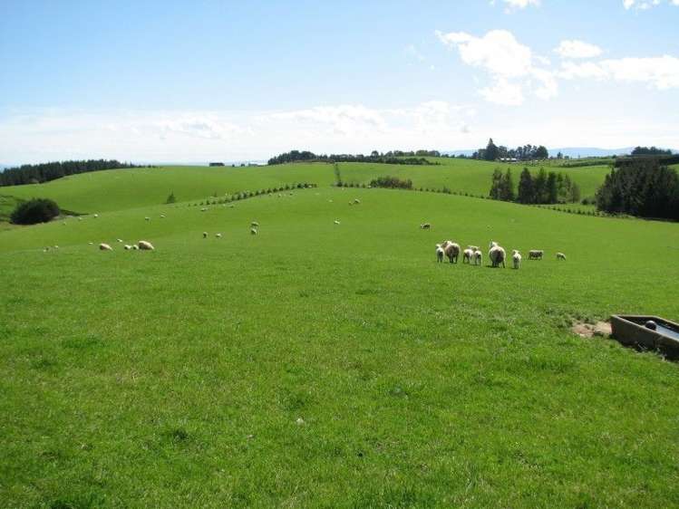 143 Gordon Road Balclutha_8