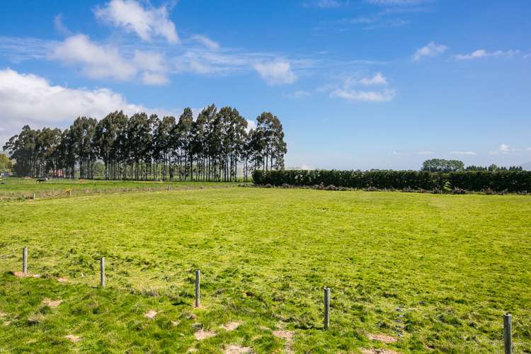 323 Riccarton Road West Mosgiel_6