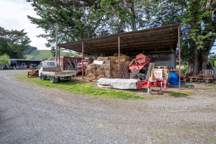 1905 Christchurch Akaroa Road Motukarara_16
