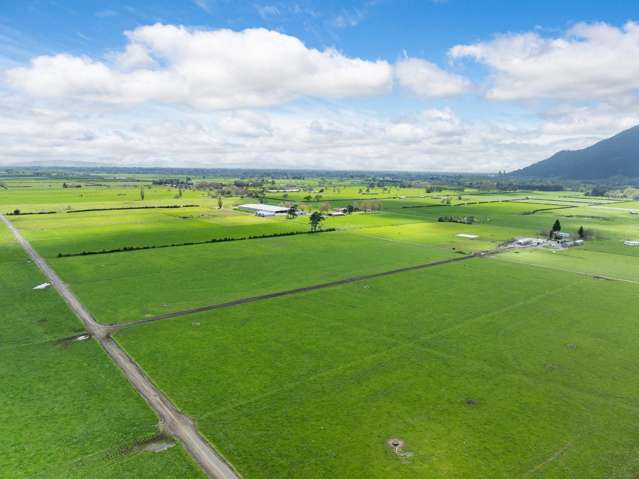 McKinley Road Te Aroha_1