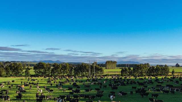 846 Pioneer Highway + 116 and 172 Ota Creek Road Edendale_1