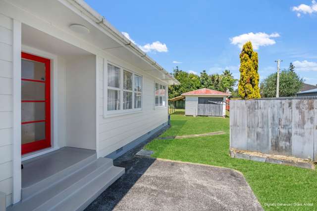 Birdwood Road Pukekohe_2