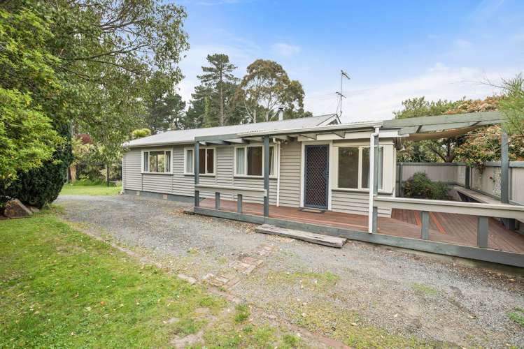 165 Kings Road Leithfield_14