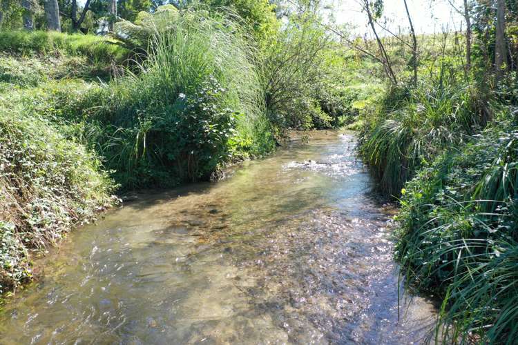 31 Mcivor Road Rotoma_17