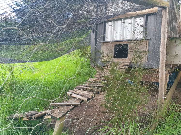 263 Fisher-Riley Road Kaitaia_16