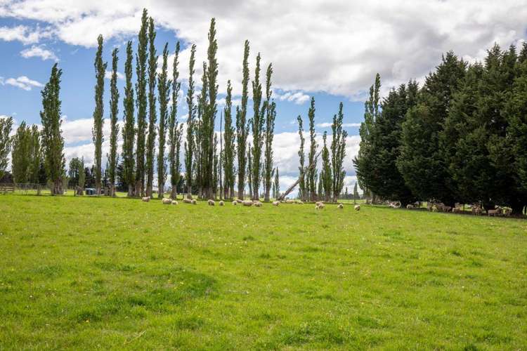 1303 Fruitlands-Roxburgh Road Alexandra_10