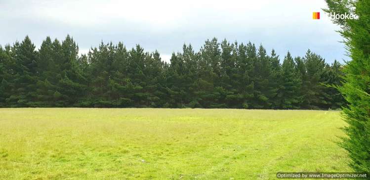 22 Stafford Street Hampden_7