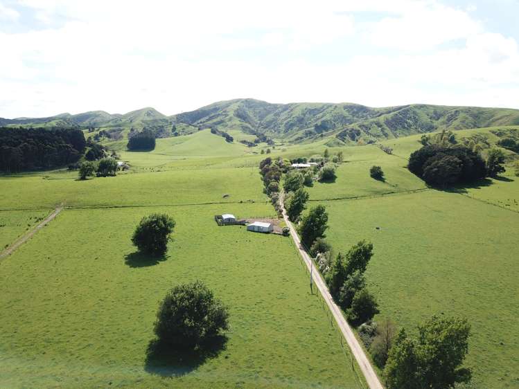 155 Bluff Road Pahiatua_21