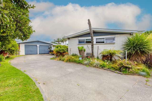 439 Gloucester Street Taradale_1