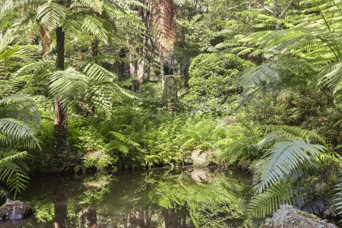 586 Tapu Coroglen Road_3