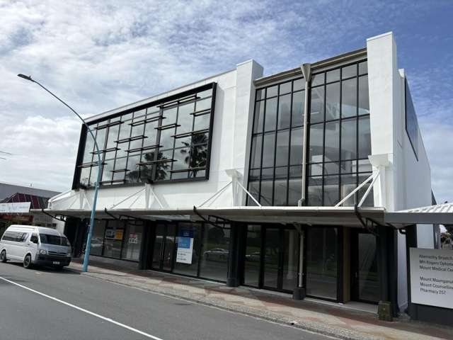 249 Maunganui Road Mount Maunganui_2