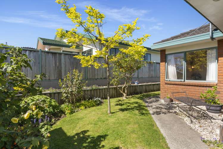 18a Lisbon Street Greerton_9