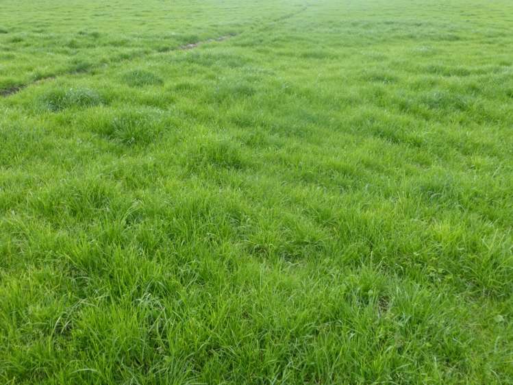 1847 Thompsons Track Lauriston_6