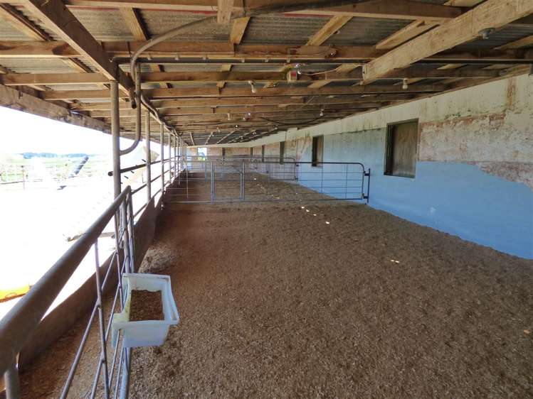 336 Grove Road Te Pahu_28