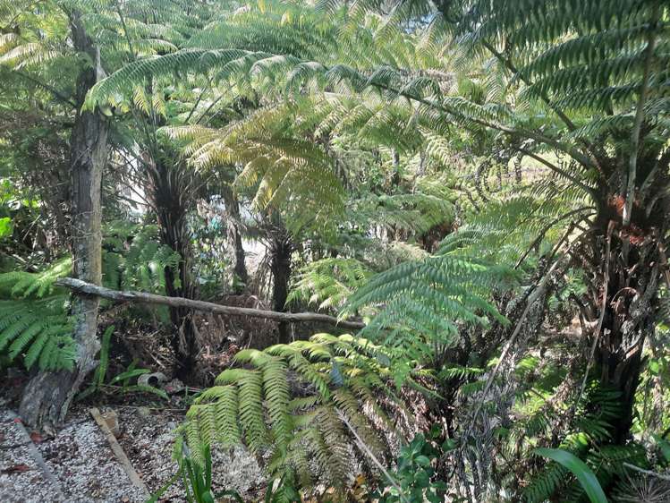 68 Manuka Road Glenfield_25