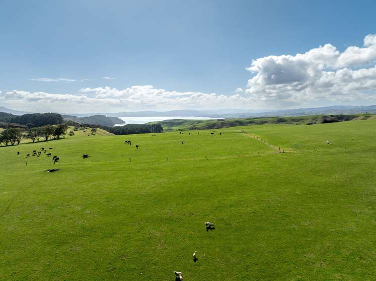 88 Lake Road Kawhia_9