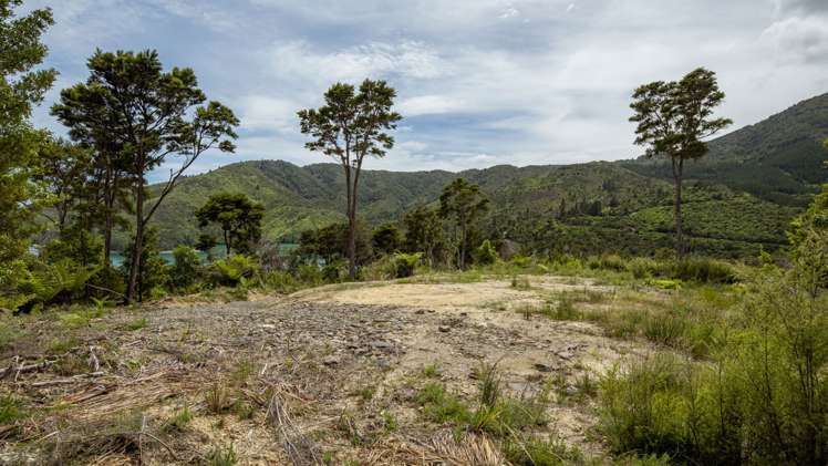 Croisilles-French Pass Road Okiwi Bay_12