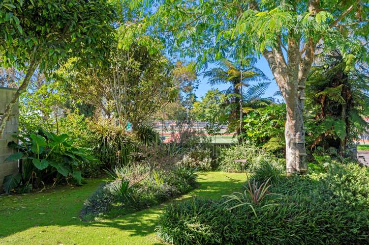 31a Lewis Road Lynmore_27