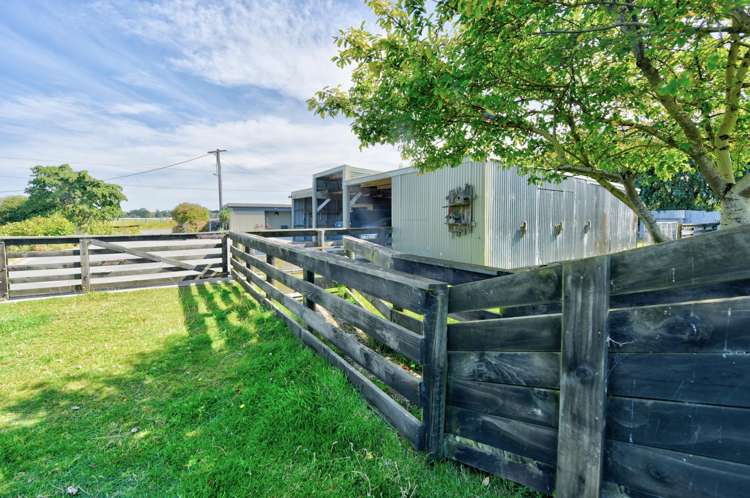 56 Racecourse Road Gore Surrounds_6