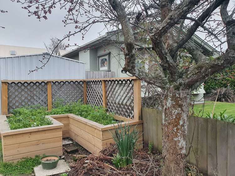 1 Antrim Street Sydenham_10