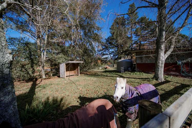 108 Clark And Denize Road Pukekawa_21