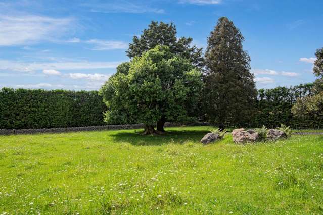 662A Ngunguru Road Glenbervie_2