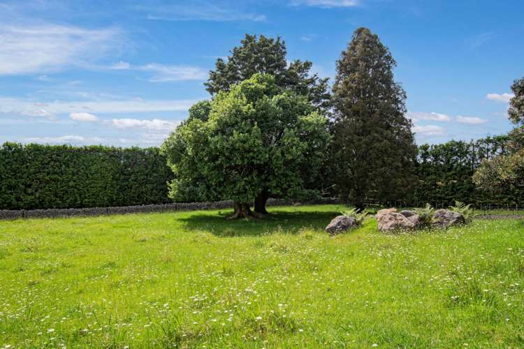 662A Ngunguru Road Glenbervie_2