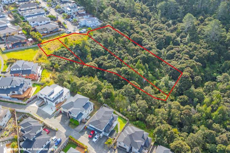 13 New Dawn Lane Albany Heights_8