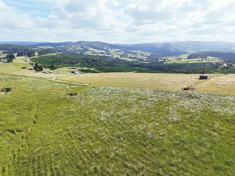 Cnr Hood Rd and SH12 Dargaville Surrounds_9