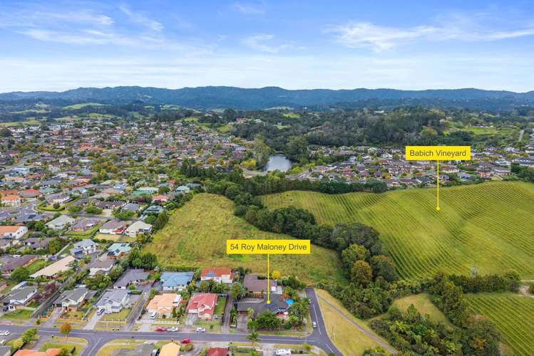 54 Roy Maloney Drive Henderson_35