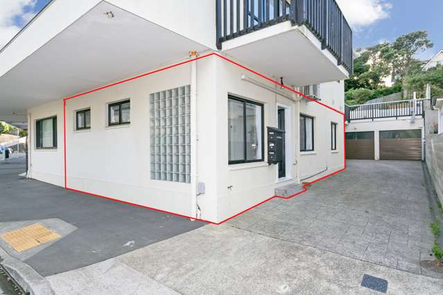 1c Arawa Road Hataitai_1