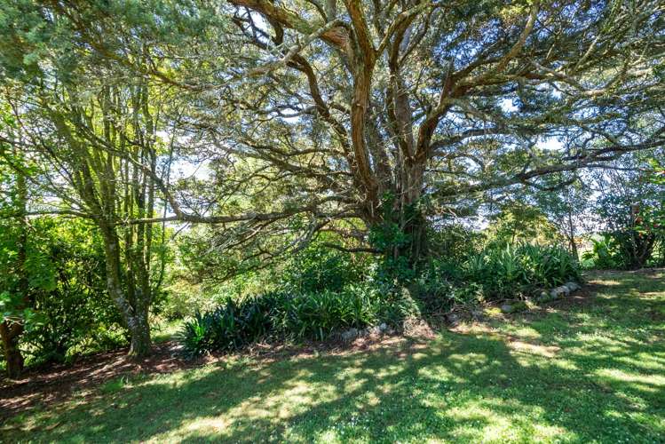 457 Crane Road Kauri_12