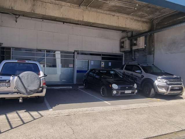 58 Adelaide Road Mount Cook_4