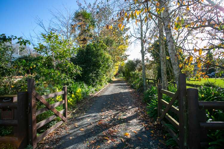 261 Shakespeare Street Leamington_22