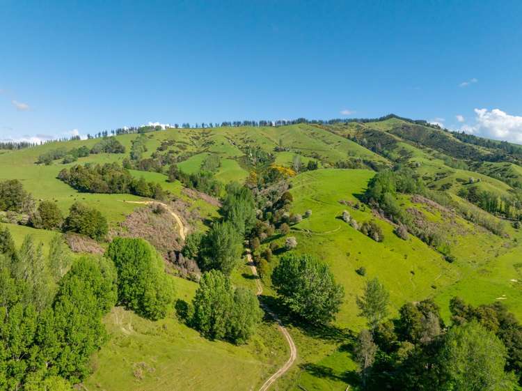 281 Tadmor Valley Road Tapawera_47