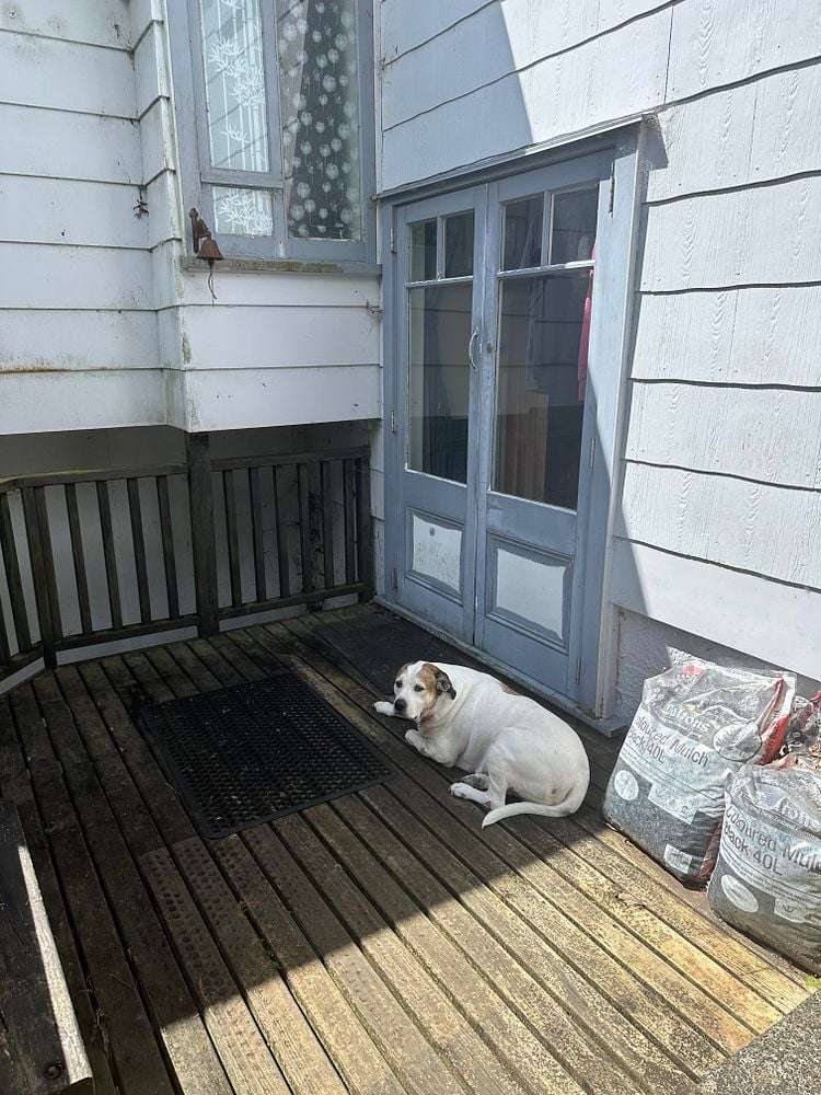 193 Scenic Drive Titirangi_3