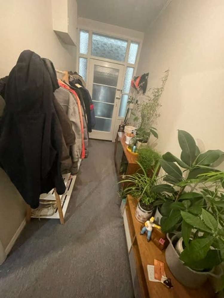 5 Kenwyn Terrace Newtown_2