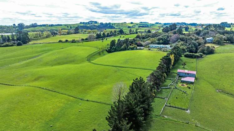 74 Galpins Road Marton_17