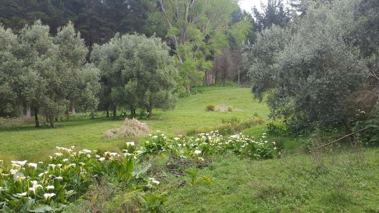 217 Taumatatahi Road Ruapehu-King Country Surrounds_23
