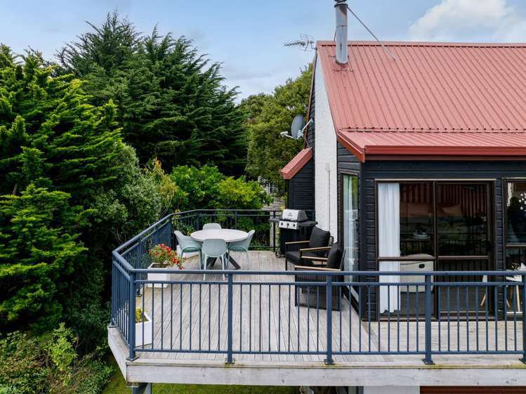 183A Scott Street Waverley_27