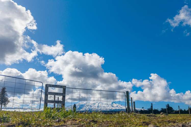 Lot 10/136 Matapuna Road Horopito_13