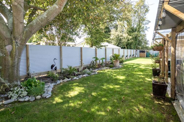 20a David Street Hinds_24