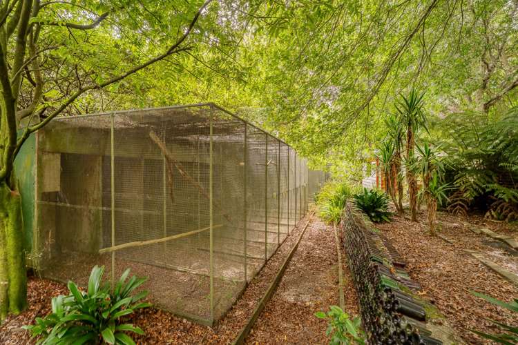 365 Mill Creek Road Whitianga_40