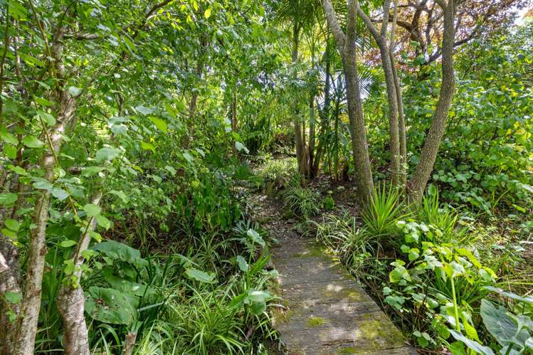 3 Rose Street Raglan_31